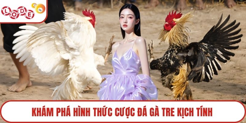Khám phá hình thức cược đá gà tre kịch tính