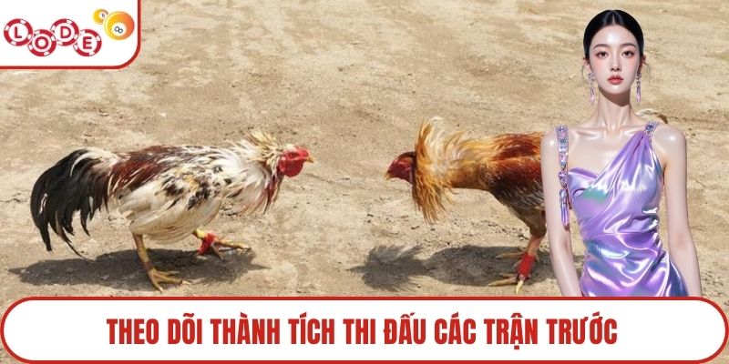 Theo dõi thành tích thi đấu các trận trước